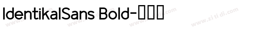 IdentikalSans Bold字体转换